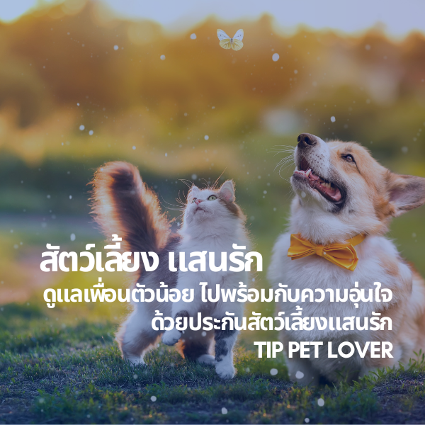 ประกันสัตว์เลี้ยงแสนรัก สำหรับ PET LOVER